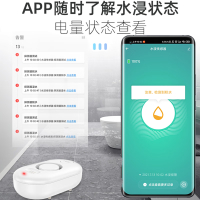 凌防(LFang)WD62 水浸传感器家用WIFI水浸漏水探测APP远程通知报警器
