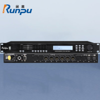 润普Runpu RP-YP26P 国产化会议室音频系统专业数字音频处理器音频矩阵分配器2进6出音频处理器