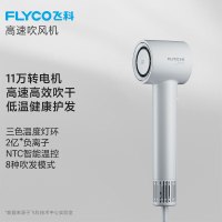 飞科(FLYCO)吹风机家用电吹风宿舍高速负离子大风力速干便携吹风筒送女友礼物 FH6351 星空灰