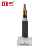 滨澳 电力电缆WDZA-YJY23 3x2.5平方 1米