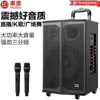惠度(HuiDu)T-15L专业双数字直播OTG直播音箱立体环绕电视音响户外移动拉杆音箱