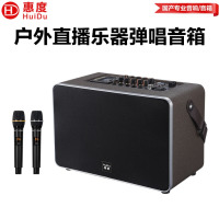 惠度(HuiDu)BB-065专业电吹管演唱音箱双数字直播录音三分频挎包式带双麦电视伴侣音箱