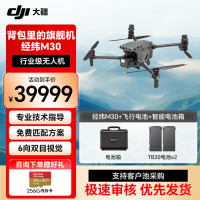 DJI 大疆经纬M30 测绘无人机 专业航拍高清4k 小型旗舰机 多方位避障[包含电池*2+电池箱*1]