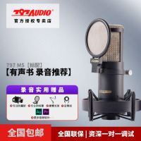 797 M5有声小说读物录音专业电容麦克风录书直播k歌配音pia戏话筒声卡套装有声书专用设备 M5标配+支架