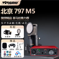797AUDIO 北京797 M5 大振膜电容麦克风有声读物录音配音K歌配音直播套装 797 M5+福克斯特SOLO3声