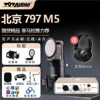 797AUDIO 北京797 M5 大振膜电容麦克风有声读物录音配音K歌配音直播套装 797 M5+uports4声卡套