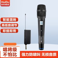 惠度(HuiDu)万能麦克风无线话筒一拖二直播舞台家用KTV户外K歌演讲会议电脑音响音箱广场舞麦
