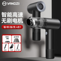 扬子[采销推荐]车载吸尘器大吸力家用手持无线便携除尘大功率随手吸