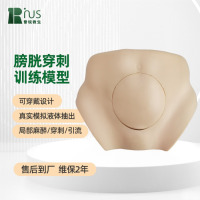 普锐救生 可穿戴式膀胱穿刺训练模型 膀胱穿刺 膀胱造瘘术全流程模拟训练 可模拟尿液抽出 耐穿刺可重复使用