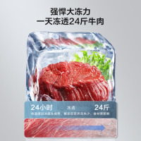 海信206L冰柜家用商用囤货双温双箱大容量冷柜 冷藏冷冻一级能效 卧式冰箱BCD-206NUD以旧换新国家补贴