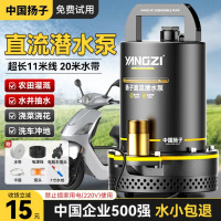 扬子直流潜水泵农用家用浇菜抽水泵电瓶车高扬程井水小型大流量水泵 48/60V-1寸11米线[黑金高性能]
