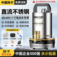 扬子直流潜水泵农用家用浇菜抽水泵电瓶车高扬程井水小型大流量水泵 48V/60V-1寸不锈钢叶轮-11米线