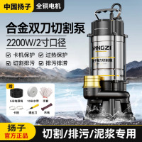 扬子污水泵切割泵化粪池抽粪抽水泵潜水泵农用家用排污泵大流量无堵塞 [AB刀无堵塞]220V-2200W-2寸