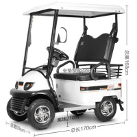 龙云天盾电动观光车2座巡逻车景区游览四轮摆渡车酒店楼盘接送接待载客电瓶代步车场内巡查车