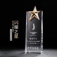 龙云天盾水晶奖杯奖牌个性定制金属五角星奖杯公司年会颁奖体育比赛