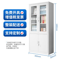 鼎南文件柜铁皮柜办公柜钢制资料柜档案柜储物柜大器械文件柜常规款