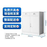 鼎南矮柜文件柜铁皮钢制储物资料档案财务办公柜常规款二斗下节