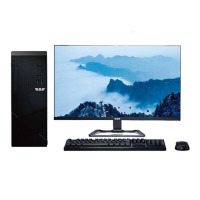 天熠TR1263 国产信创四期名录台式机电脑飞腾D2000 2.3G23.8英寸1G独显内置DVDRW 8G/256G