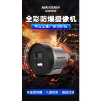 海康威视防爆摄像头poe供电室外网络摄像机DS-2XE3020WD-DX 4MM镜头