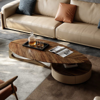 震旦胡桃木轻奢茶几 别墅全屋定制系列 2025新款茶几电视柜组合1.92米