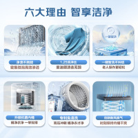 小天鹅(LittleSwan)10KG直驱变频波轮洗衣机 创新超净洗大容量省水省电更节能 TB100V26DT