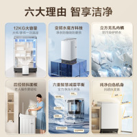 小天鹅(LittleSwan)12公斤大容量变频波轮洗衣机全自动水魔方防缠绕六重减震平衡一级能效 TB12VE20DW