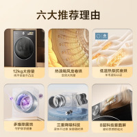 小天鹅(LittleSwan)12公斤热泵烘干机 干衣机家用变频 [小乌梅3.0高奢版]纯平全嵌 TH12VE40PRO