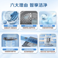 小天鹅(LittleSwan)波轮洗衣机全自动 12公斤大容量水魔方防缠绕 纳米银离子除菌 一级能效 TB12M09T