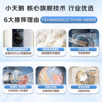 小天鹅(LittleSwan)洗烘套装10KG滚筒洗衣机+10KG热泵烘干机 毛屑过滤 除菌抑菌TG100MS93ILZ