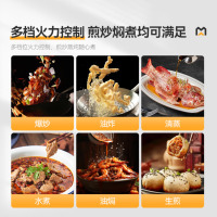 麦大厨 商用电磁炉燃气小炒灶猛火灶单位厨房食堂熄火保护天然气双头单尾小炒炉 MDC-JR-B2-XC1800J