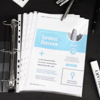 齐心(COMIX)100个装11孔资料册文件袋文件套活页替芯袋保护袋搭配孔夹快劳夹使用EA9002