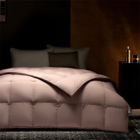 水星家纺抗菌防螨复合鹅绒冬被 DH科尔抗菌防螨复合鹅绒被 200cm*230cm