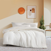 水星家纺 家用床上用品被芯单人双人DH玉米软软四季被200cm×230cm/条