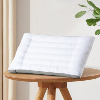 水星家纺枕芯花草枕DH 贝利芙薰衣草抗菌枕 48cm*74cm /只