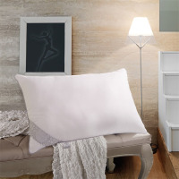 水星家纺 枕头舒适枕芯/枕头床上用品DH DH沁新抗菌枕