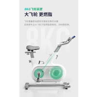 麦瑞克(MERACH)动感单车家用智能调阻运动健身器材室内静音自行车 绝影ONE