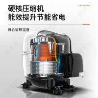 厨丰达 食品留样柜 学校幼儿园公司食堂用水果蔬菜留样保鲜冷藏展示柜自动除霜 75升单锁数显