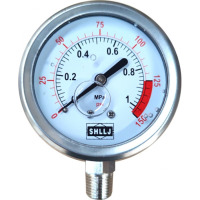 龙云天盾注油压力表SHLLJ耐震耐腐蚀psi Mpa水处理不锈钢径竖轴背 1.0MPA/150PSI(径向/竖装)