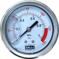 龙云天盾注油压力表SHLLJ耐震耐腐蚀psi Mpa水处理不锈钢径竖轴背 1.0MPA/150PSI(轴向/背装)