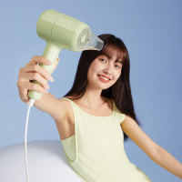 小熊(Bear)电吹风机家用大功率负离子护发恒温速干迷你学生宿舍绿色负离子款 DCF-B18L7