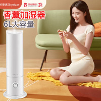 荣事达加湿器家用大容量水箱加水小型3L卧室办公室多功能喷雾净化器 RS-V60F