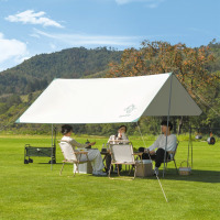 大迈大迈星际飞越天幕 豆蔻年华DM-1018