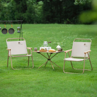 大迈露营桌椅套装-热带棕DM-2015*1+DM-2013*2 1桌2椅