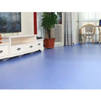 龙云天盾2.0mm厚度PVC塑胶2.5米3米3.3米3.6米4米宽家用pvc地板革 标价一平方 其他颜色和宽度联