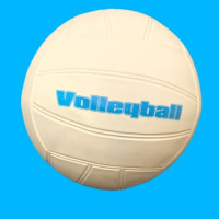 龙云天盾排球软排中考专用训练学生充气比赛玩具球 儿童排球 玩具球 皮球 3号 15CM