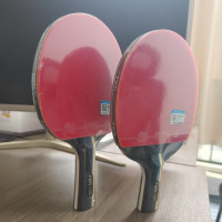龙云天盾乒乓球拍专业级单拍碳素长柄横拍短柄直拍比赛专用高弹拍 球拍+球套+三个乒乓球*2 5星横拍[长柄]全新