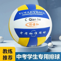 龙云天盾排球软式5号排球中考专用训练比赛充气小学生儿童初学硬式软排 3号 5号排球蓝白色[比赛款] 排球+网兜+气针