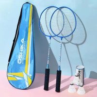 龙云天盾耐打羽毛球拍套装正品成人高弹力专业球拍初学生进攻打羽毛球训练 KESIKA减震拍[送3球+背包]蓝