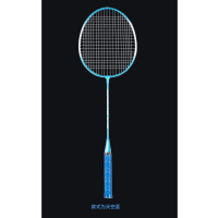 龙云天盾羽毛球拍成人正品2支男女情侣亲子儿童学生进攻型羽毛球拍 全家总动员[送3球+拍包+跳绳]