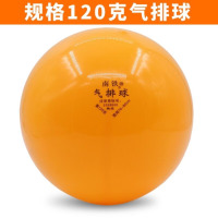 龙云天盾气排球 比赛专用软气排球 标准耐用充气气排球号 120克气排球[送球针+网兜]